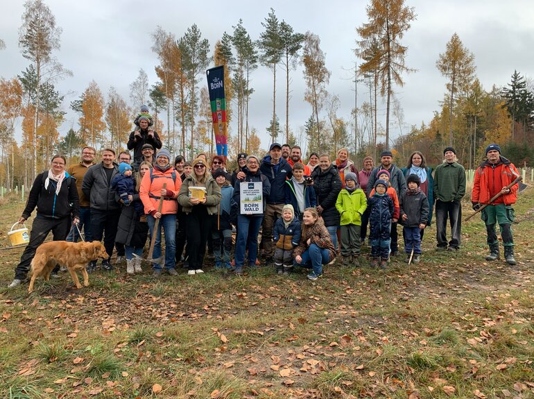 BORN Wald Baumpflanzaktion