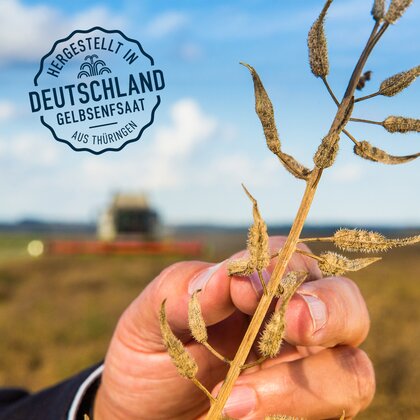 Regionalität bei BORN Senf und Feinkost in Thüringen. Senfpflanze in der Hand.