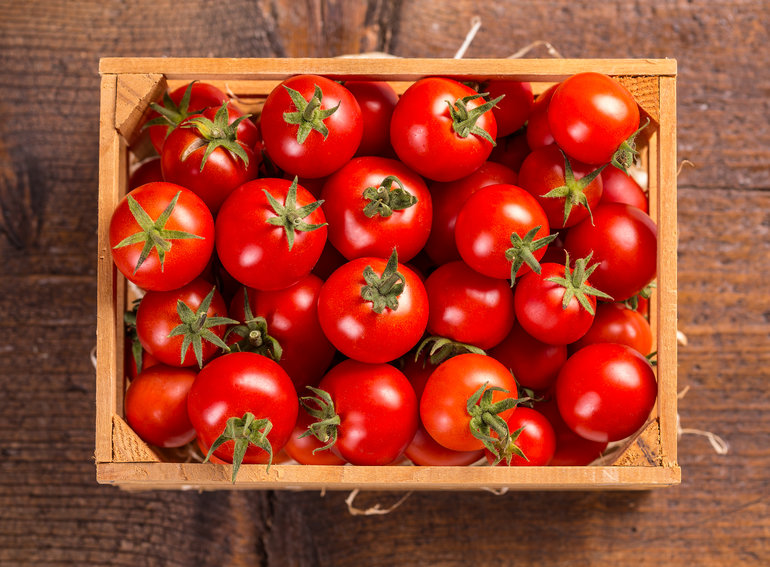 Tomaten für BORN Ketchup. BORN Senf und Feinkost aus Thüringen.